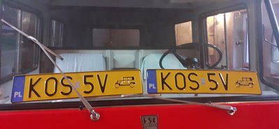 Żuczek, żółtki.jpg