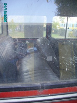 Nysa7.jpg