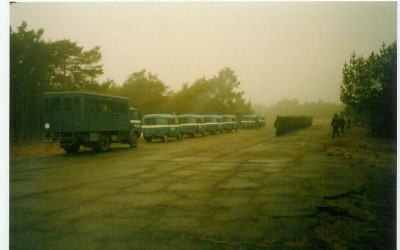 kolumna.jpg