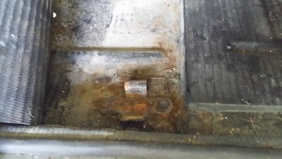 20170611_120601_m.jpg