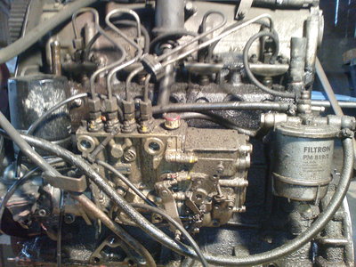 DSC00044.JPG