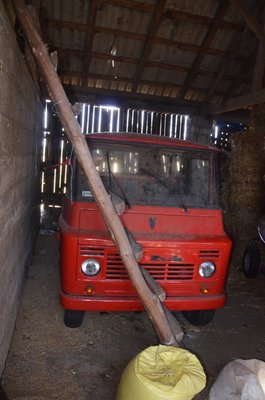 DSC_0901.JPG