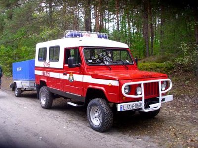 lasy janowskie.JPG