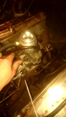polonez.png