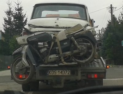 gazela + warszawa.jpg