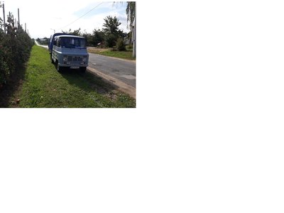 Zdjęcie żuk forum.jpg